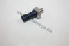 AUTOMEGA 1012470680 Oil Pressure Switch